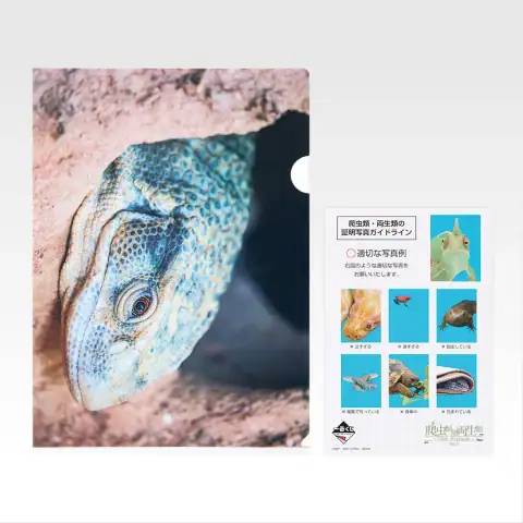 H상 클리어 파일 & 스티커 세트 7